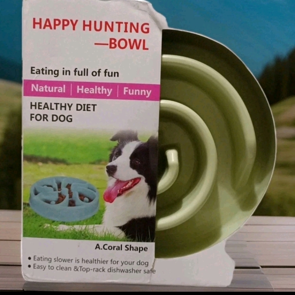 Green Slow Feeder Dog Bowl